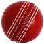 Míčky na kriket